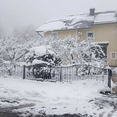 Ferienwohnung Drago Kremenjas Delnice Exterior foto