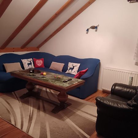 Ferienwohnung Drago Kremenjas Delnice Exterior foto