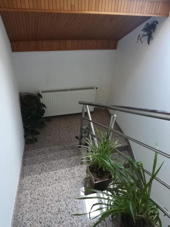 Ferienwohnung Drago Kremenjas Delnice Exterior foto