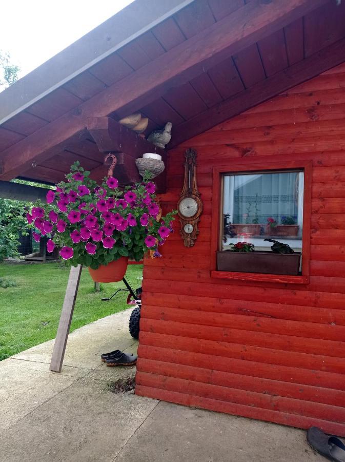 Ferienwohnung Drago Kremenjas Delnice Exterior foto
