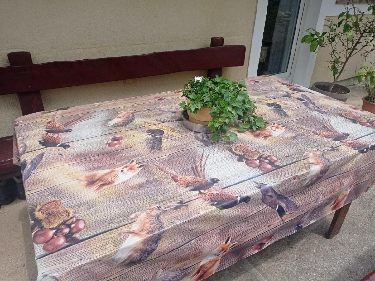 Ferienwohnung Drago Kremenjas Delnice Exterior foto