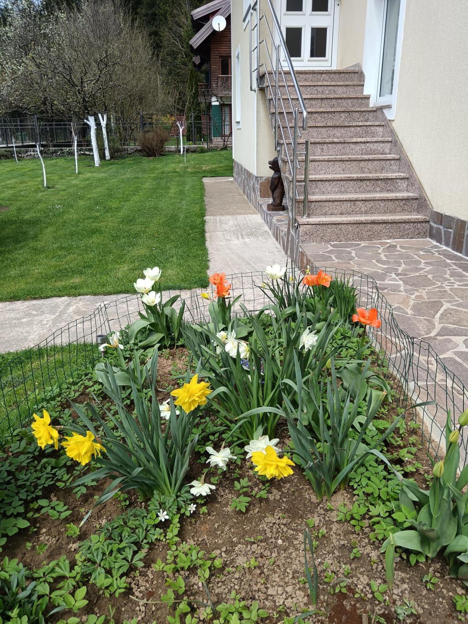 Ferienwohnung Drago Kremenjas Delnice Exterior foto